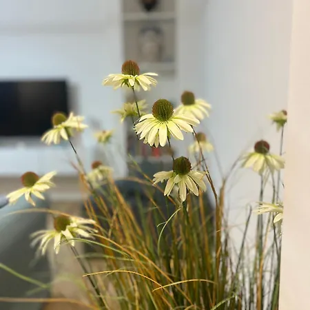 Domus Lucia 別荘 *