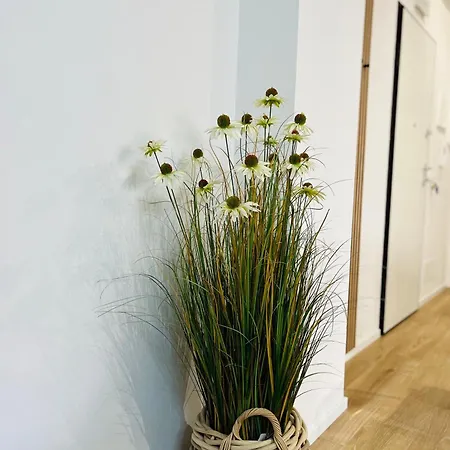 Domus Lucia 別荘 *