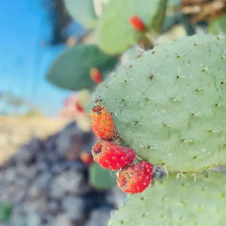 Domus Lucia 度假居 *